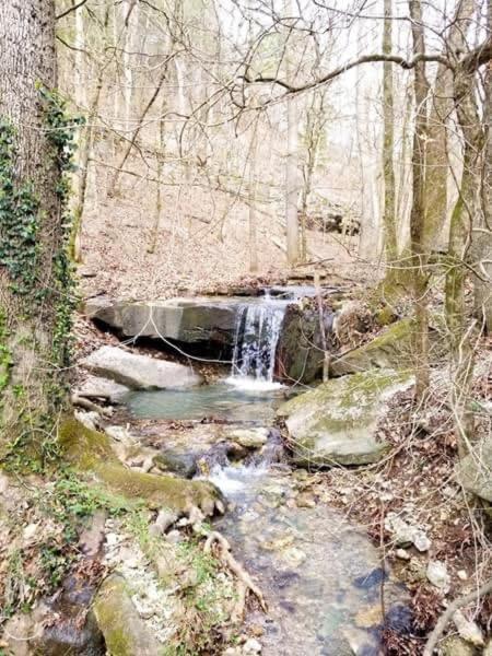 Loblolly Pines Adventure Cabin 4 King Eureka Springs Bagian luar foto